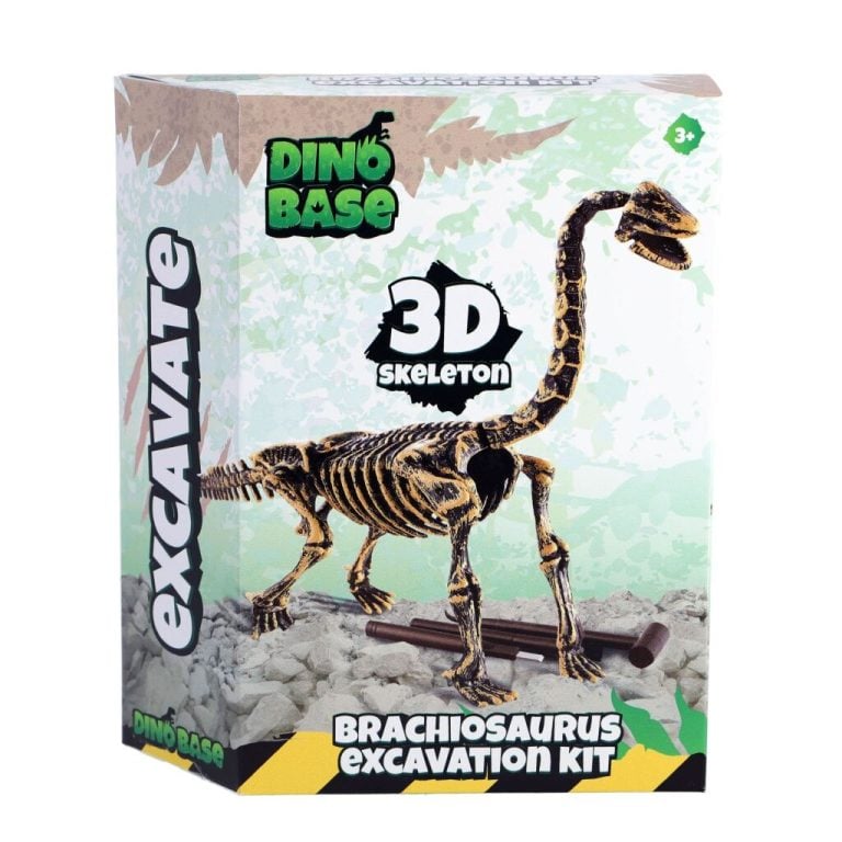Dinobase Dino 3D Brachiosaurus Skelet | Kopen bij Flickmyhouse