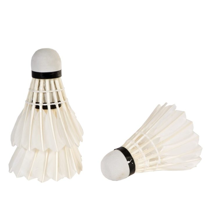 SportX Badmintonshuttles met Veren 3 Stuks Wit | Kopen bij Flickmyhouse