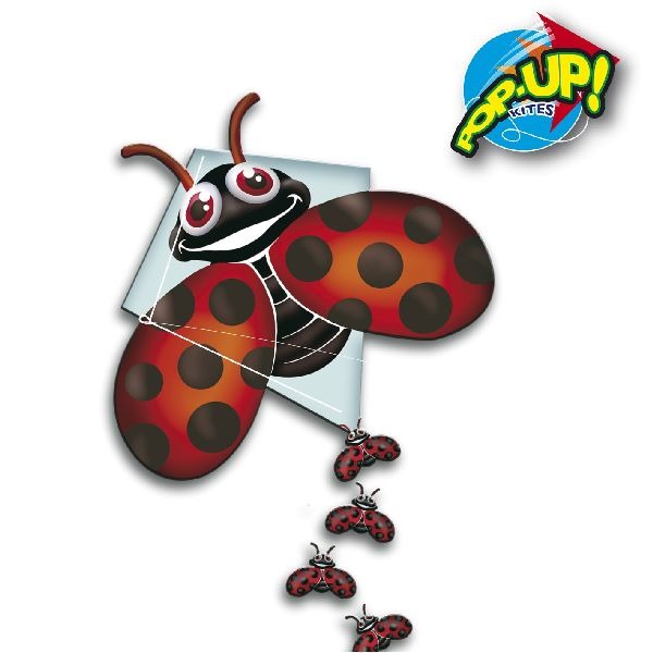 Rhombus Pop-Up Lady Bug Vlieger | Kopen bij Flickmyhouse
