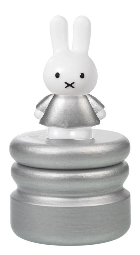 Nijntje Melktandendoosje Zilver | Kopen bij Flickmyhouse
