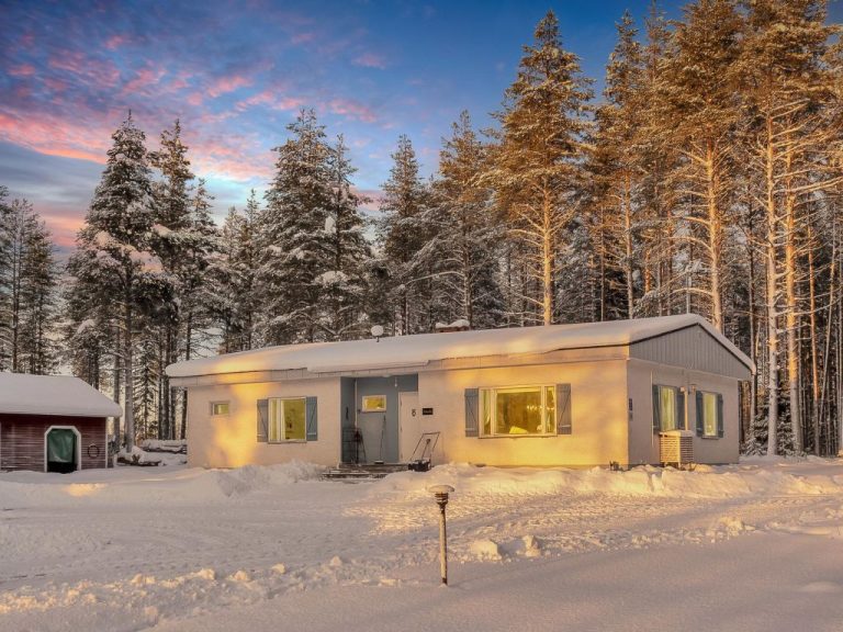 Rovaniemi ainola | Boeken bij Flickmyhouse