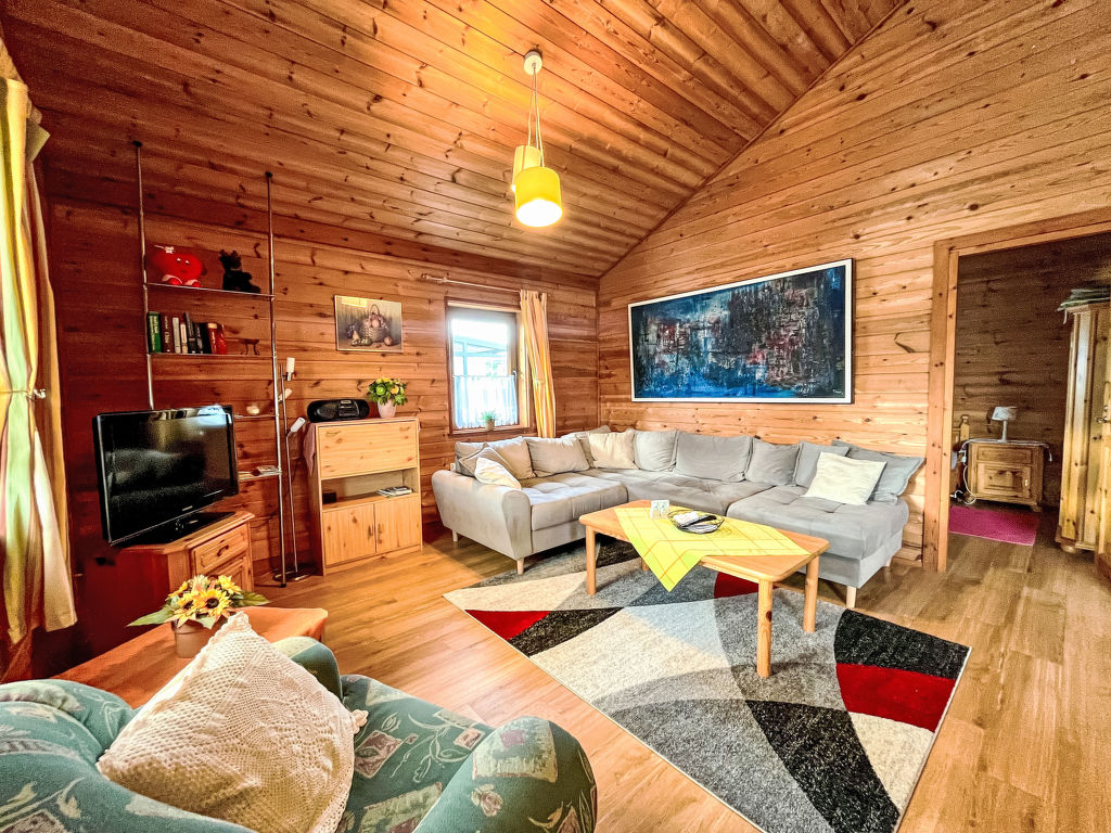 Löwenzahn | Boeken bij Flickmyhouse