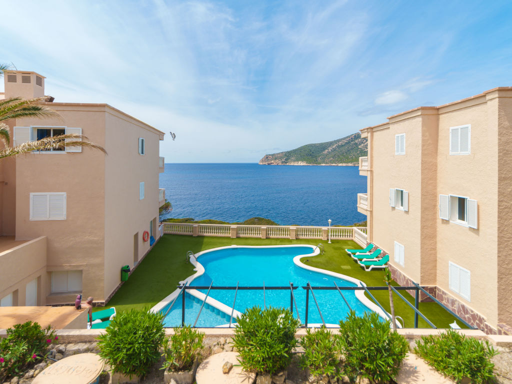 Amores | Boeken bij Flickmyhouse