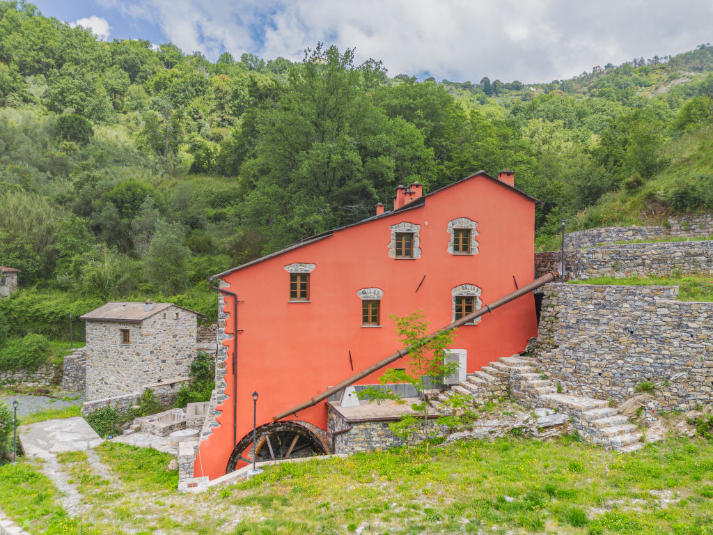 Ciliegiolo | Boeken bij Flickmyhouse