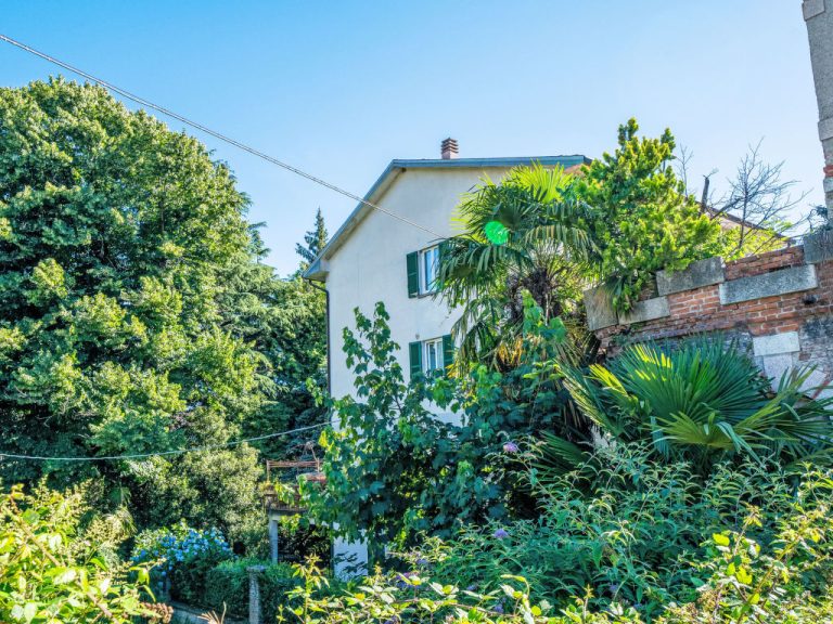 Silki | Boeken bij Flickmyhouse