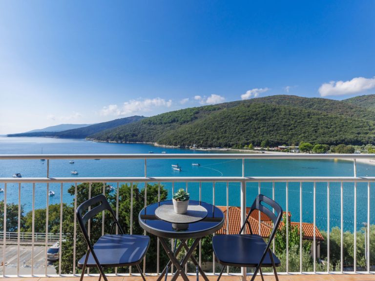 Boris | Boeken bij Flickmyhouse