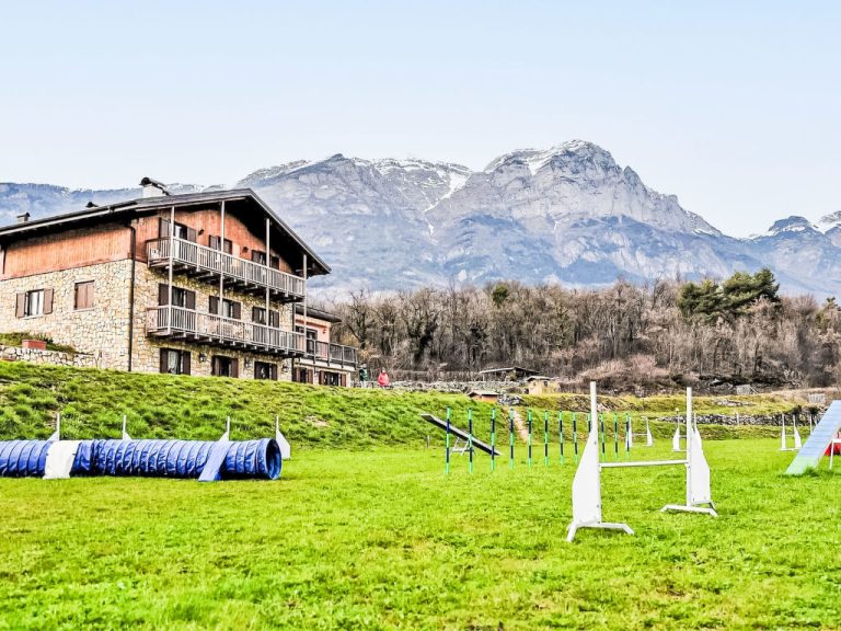 Maso Scricciolo | Boeken bij Flickmyhouse