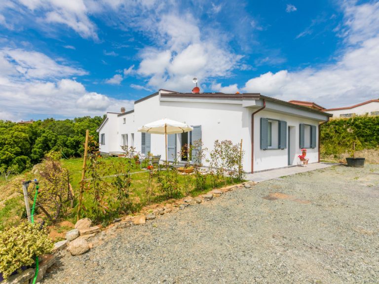 Apparita | Boeken bij Flickmyhouse