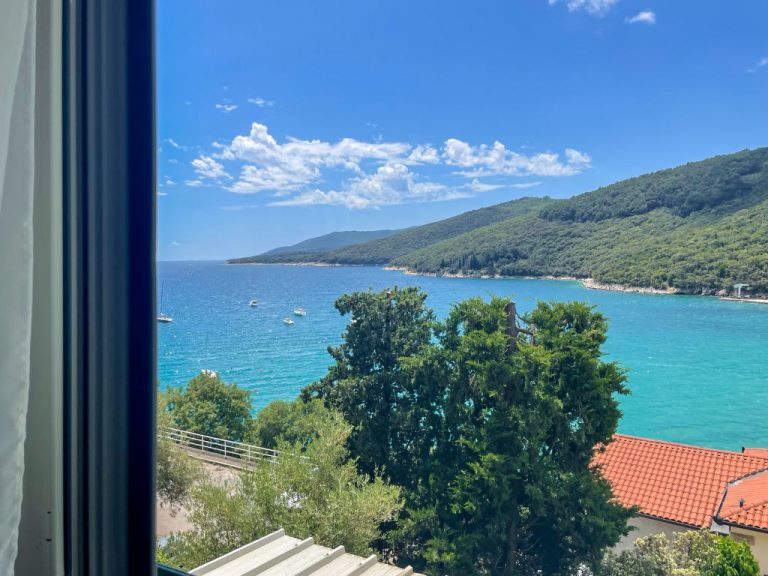 Ljubica | Boeken bij Flickmyhouse