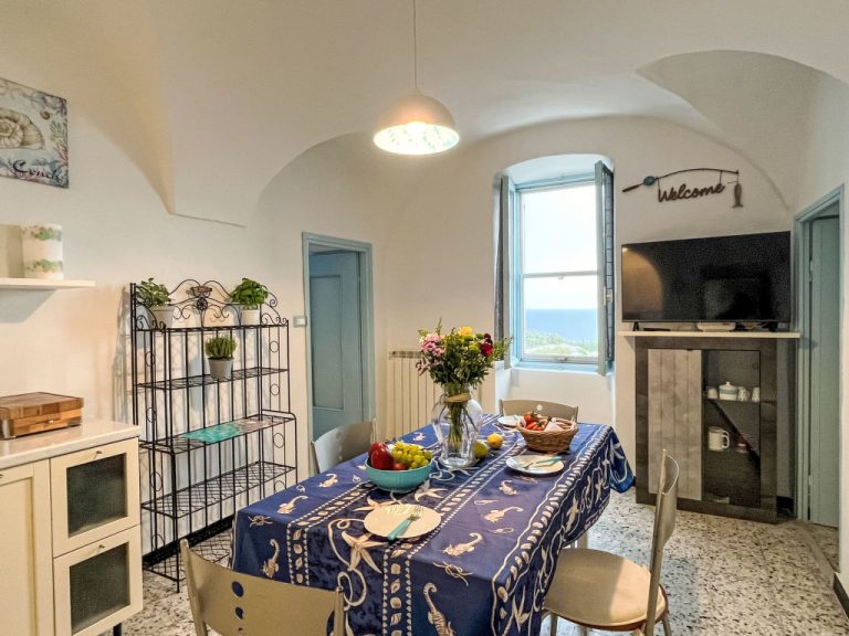 Ca du Maina | Boeken bij Flickmyhouse