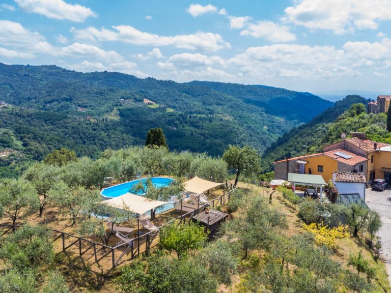 Poggetto Pellegrini | Boeken bij Flickmyhouse