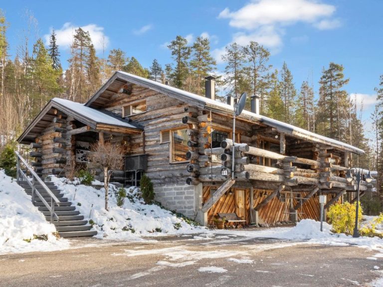 Sallanhelmi B1 | Boeken bij Flickmyhouse