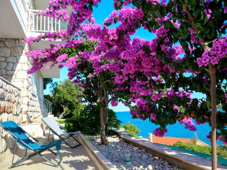 Martina | Boeken bij Flickmyhouse