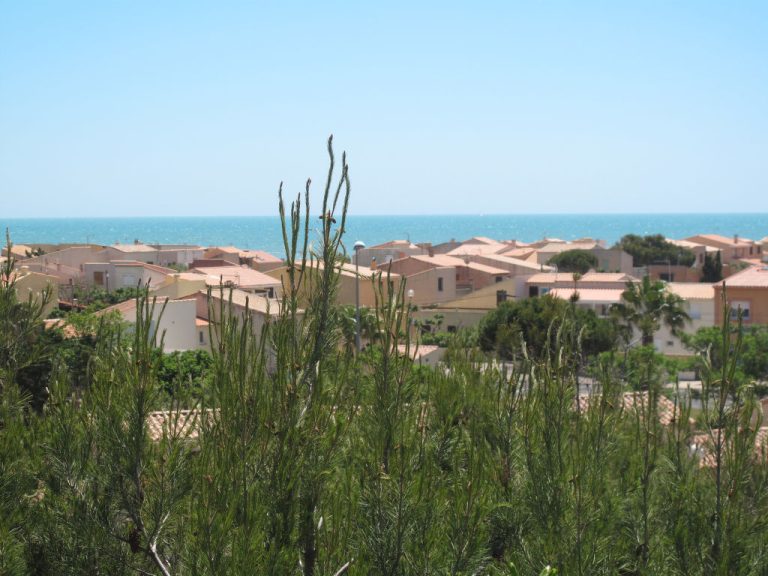 Petite Cigale | Boeken bij Flickmyhouse