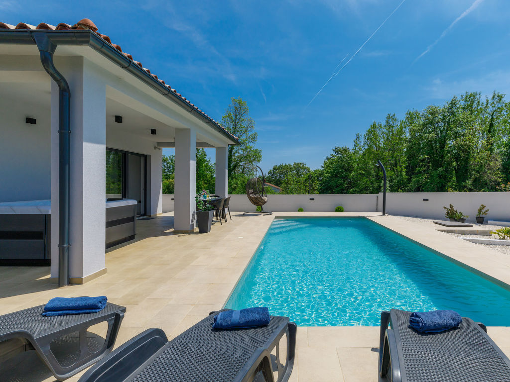 Vine | Boeken bij Flickmyhouse