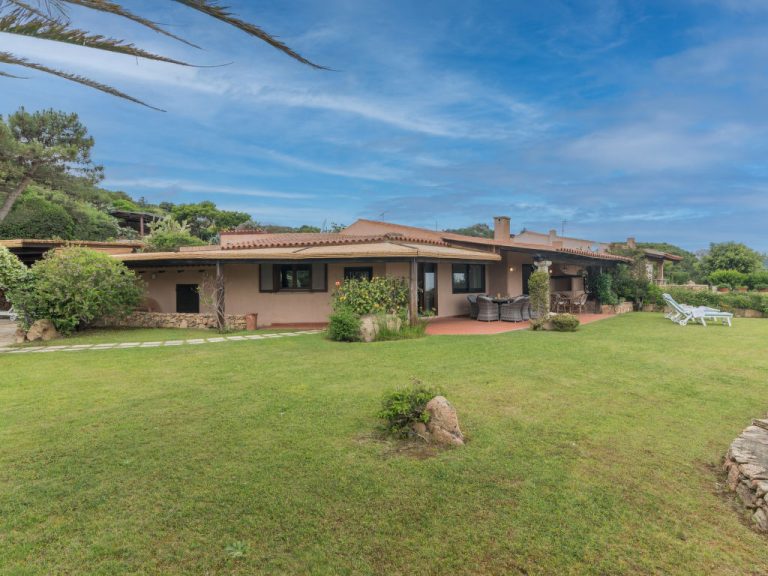 Mimosa | Boeken bij Flickmyhouse