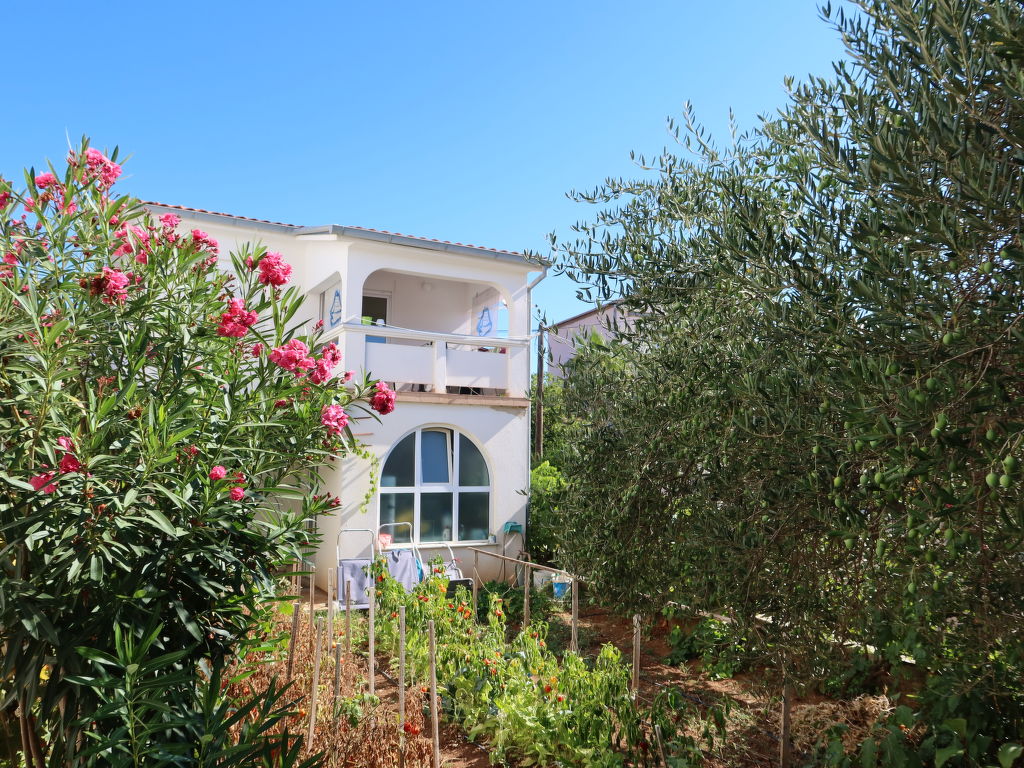 Lidija | Boeken bij Flickmyhouse