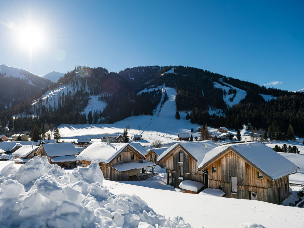 Superior #48 mit IR Sauna | Boeken bij Flickmyhouse