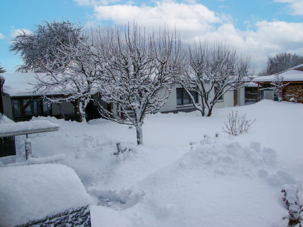 Schneider | Boeken bij Flickmyhouse