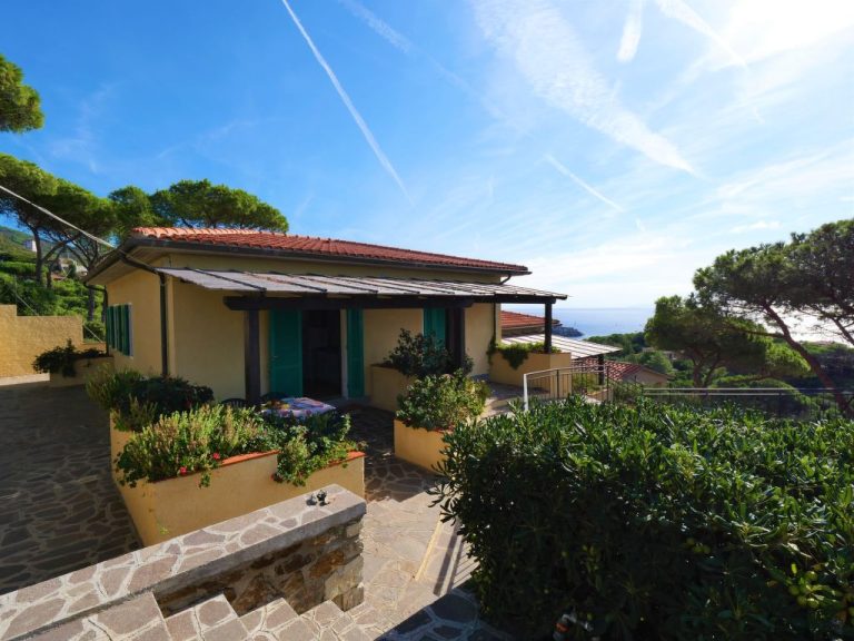 Oasis 2 | Boeken bij Flickmyhouse