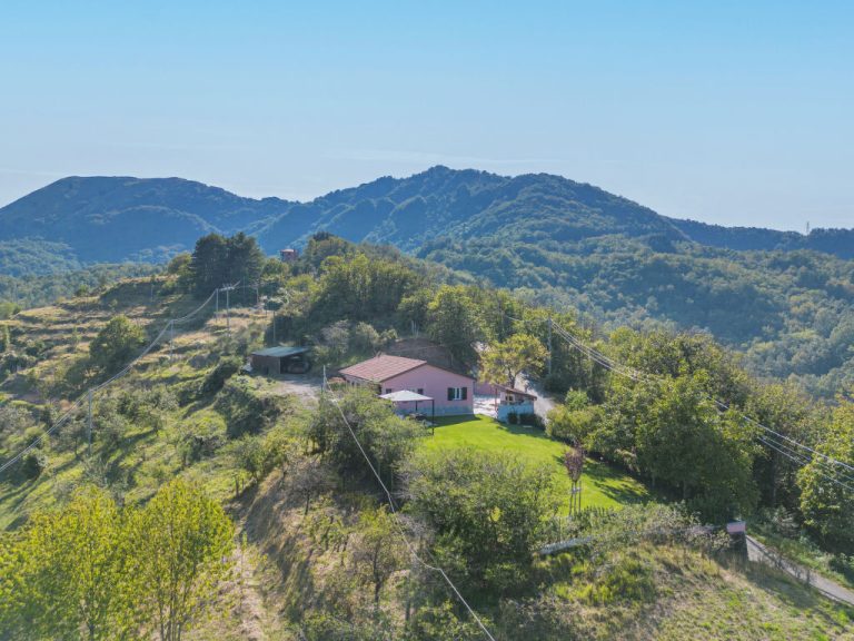La Mela Musona | Boeken bij Flickmyhouse