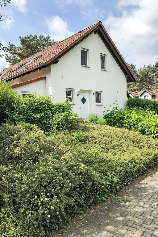 Lenzer Höh | Boeken bij Flickmyhouse