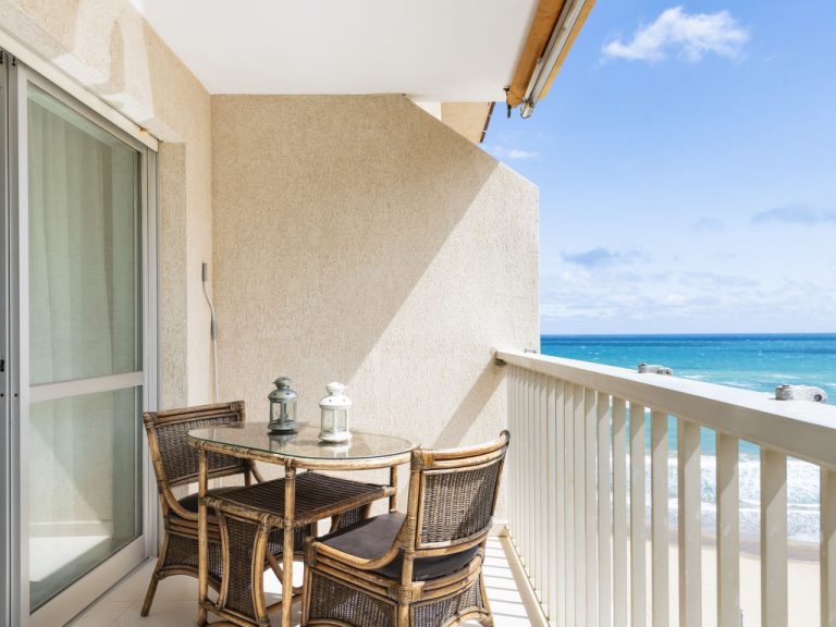 Hortensia - Primera Linea | Boeken bij Flickmyhouse