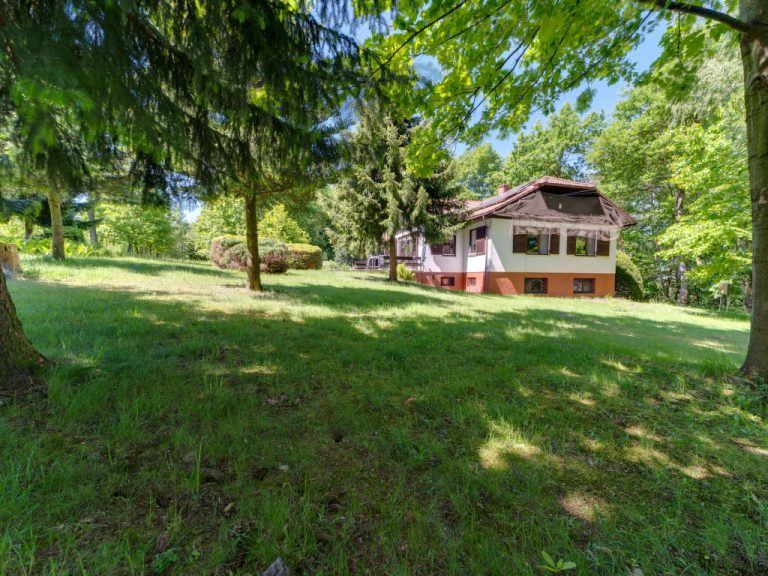 Marcyporęba | Boeken bij Flickmyhouse