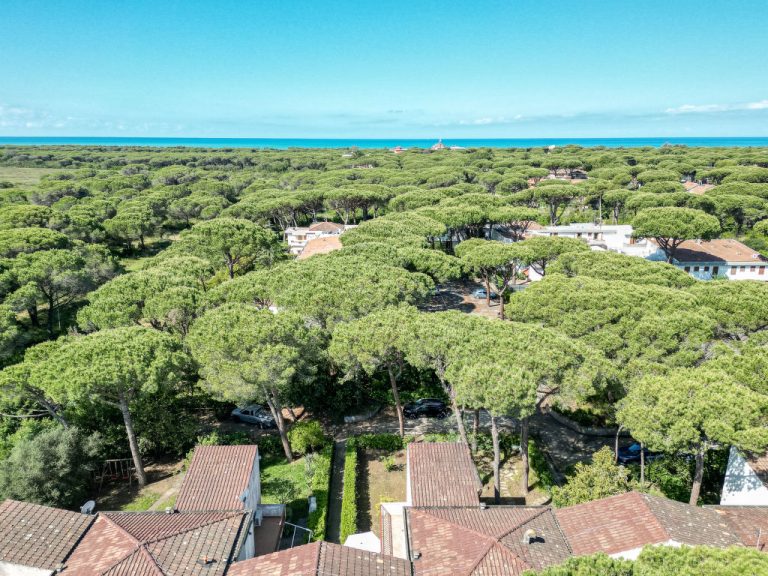 Casa Polipo | Boeken bij Flickmyhouse