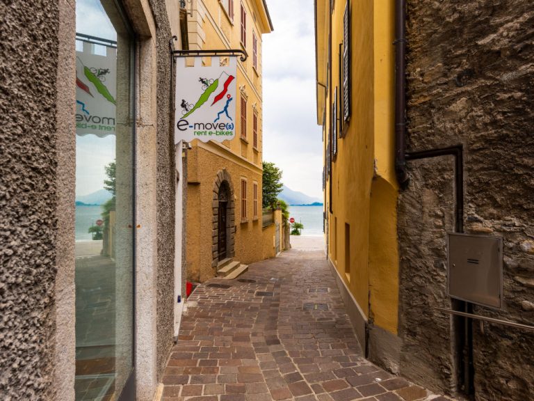 Viola | Boeken bij Flickmyhouse