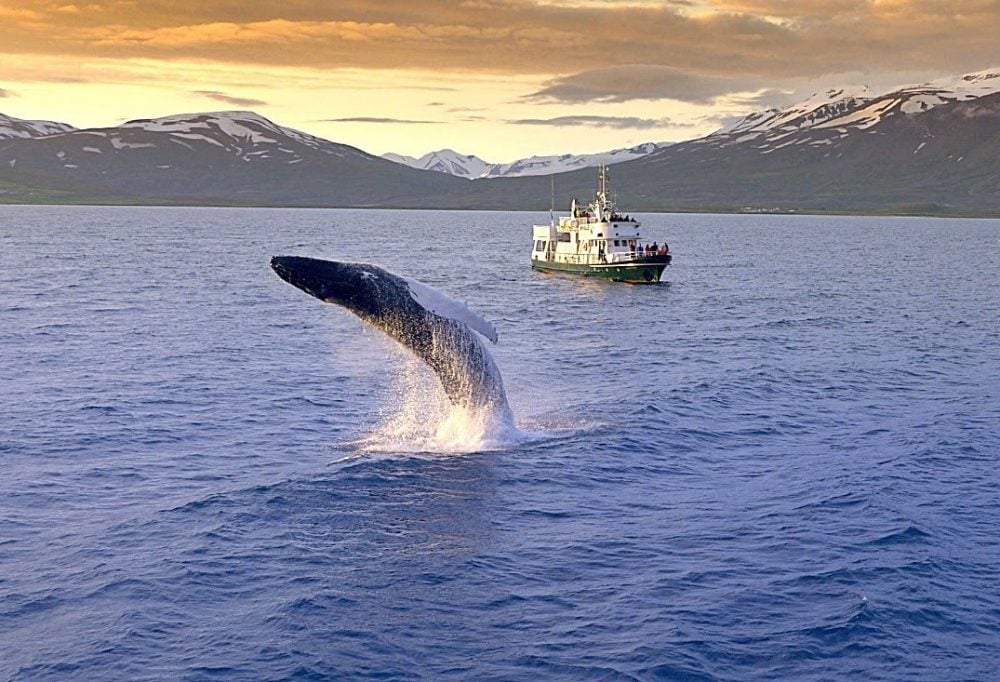 Land van IJs en Vuur