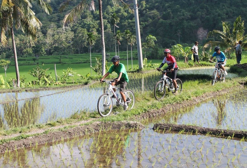 Fietsen vanaf de Batur