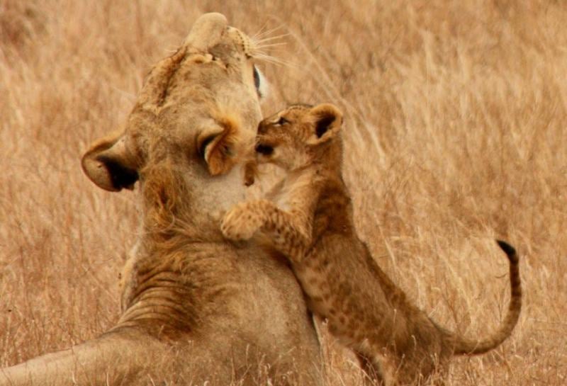 Rift Valley Trails Safari