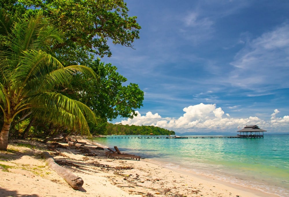 Sabah: Highlights & jungle van Borneo