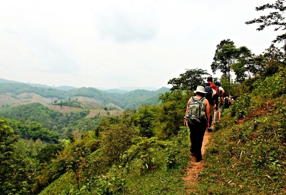 Chiang Mai Jungle Trekking
