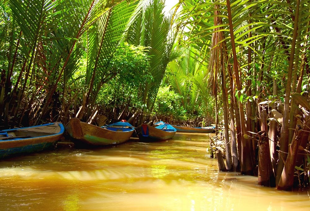 De Kleuren van de Mekong Delta