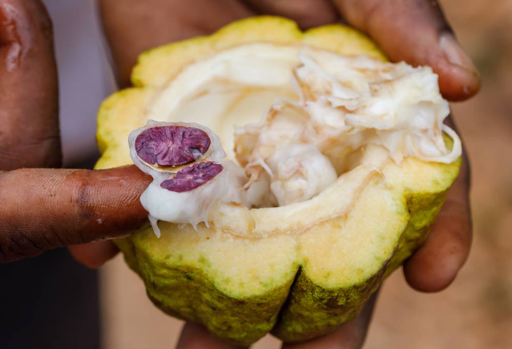 Zanzibar voor alle zintuigen