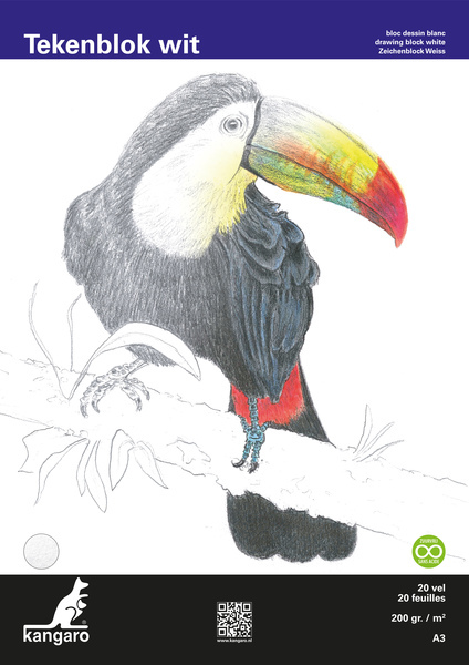 Kangaro K-5332 Tekenblok A3 200 Gr 20 Vel Wit Fijne Korrel Kopgelijmd | Kopen bij Flickmyhouse