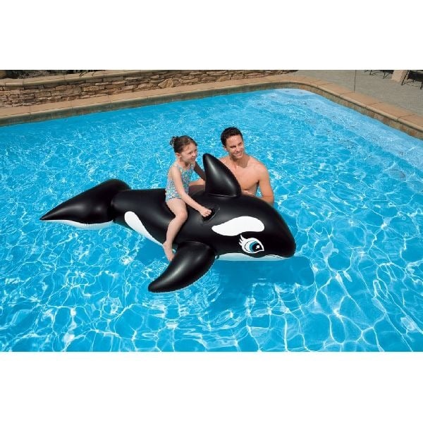 Intex Walvis Rideon 193x119cm | Kopen bij Flickmyhouse