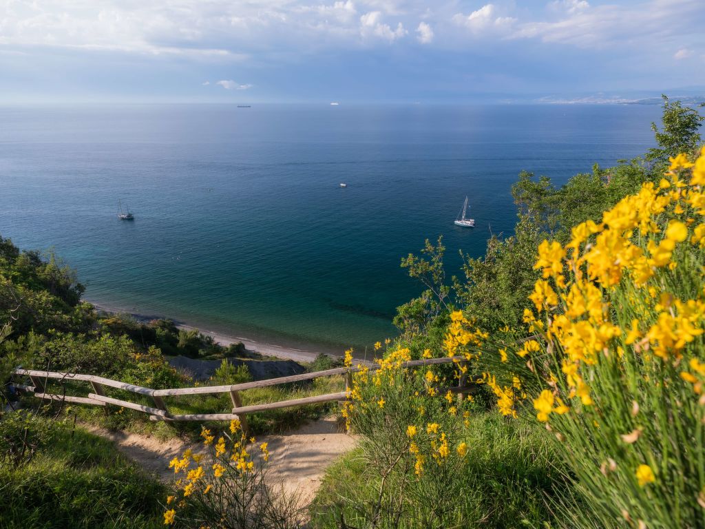 Salinera | Boeken bij Flickmyhouse