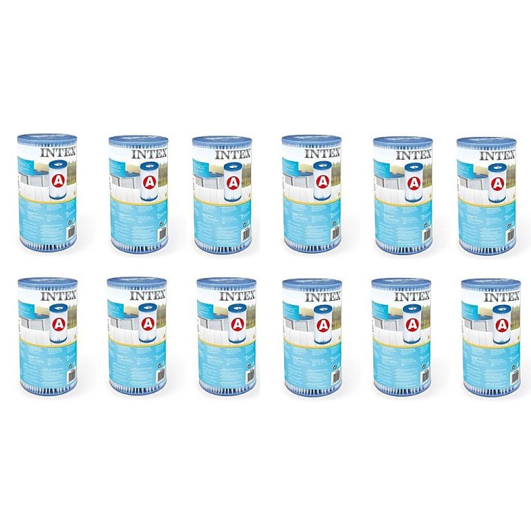 Intex 29000 Filter Cartridge Type A 12 Stuks voor Zwembad 244/305/366 cm | Kopen bij Flickmyhouse