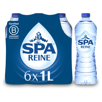 SPA REINE Natuurlijk Mineraalwater 6x 1L bij Jumbo | Flickmyhouse