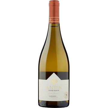 Anun Gran Reserva Chardonnay 750ML bij Jumbo | Flickmyhouse