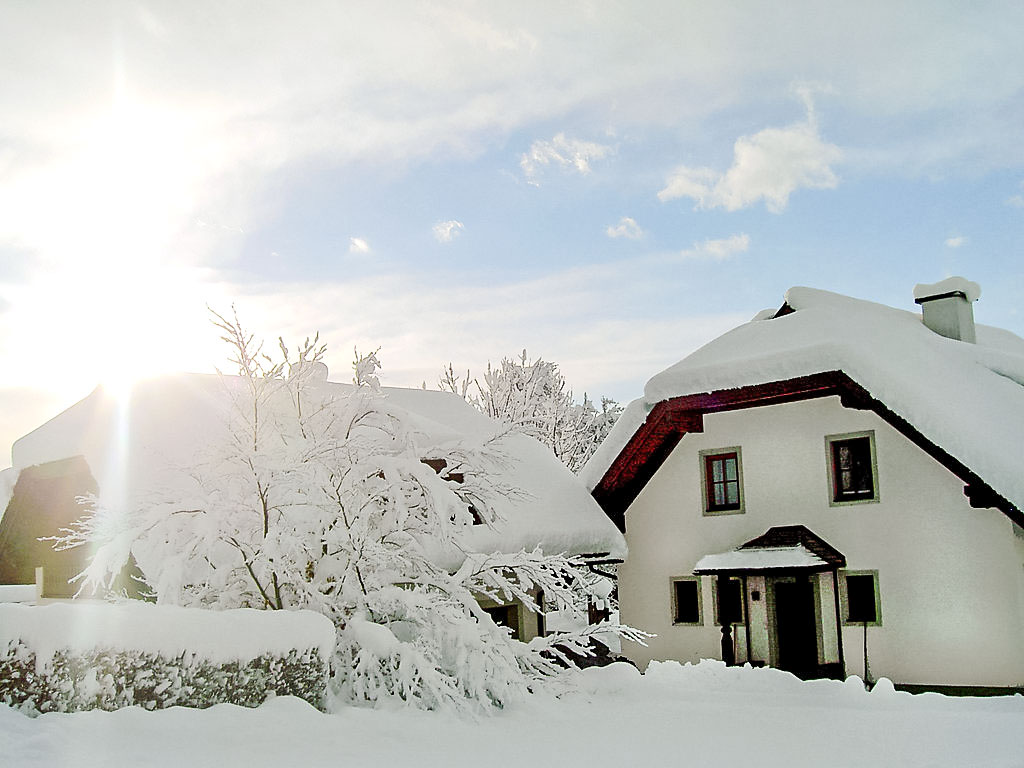 Schnitzer | Boeken bij Flickmyhouse