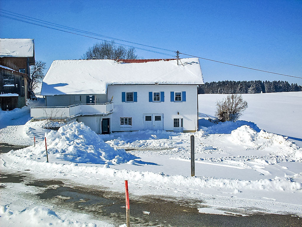 Martin | Boeken bij Flickmyhouse