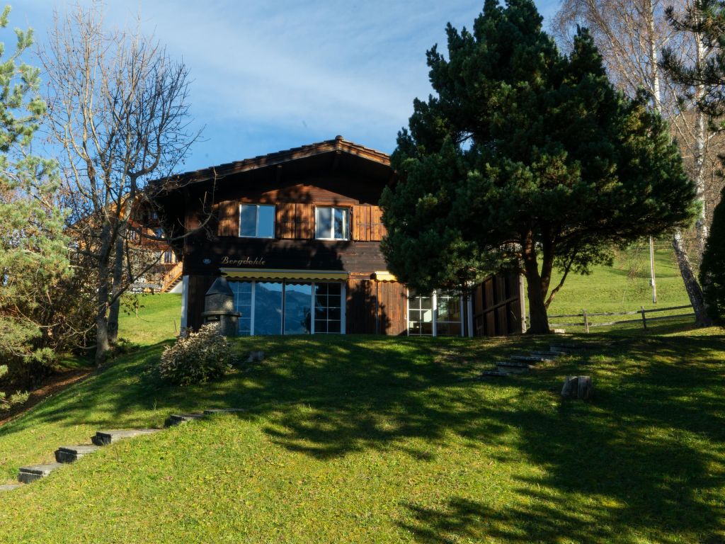 Bergdohle | Boeken bij Flickmyhouse