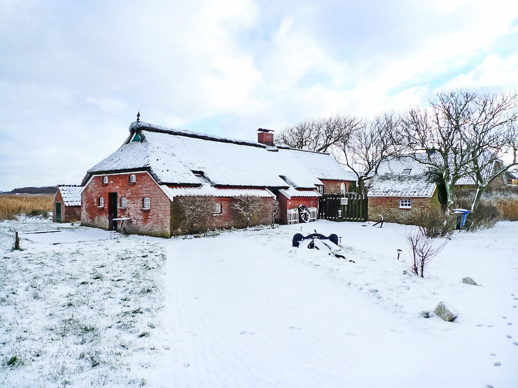 Itzendorfer Rott | Boeken bij Flickmyhouse