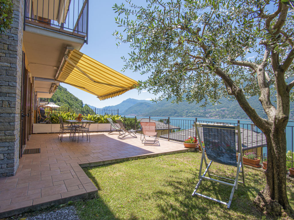 Paníco | Boeken bij Flickmyhouse