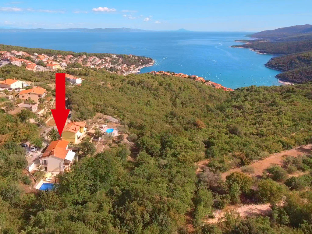 Nira | Boeken bij Flickmyhouse