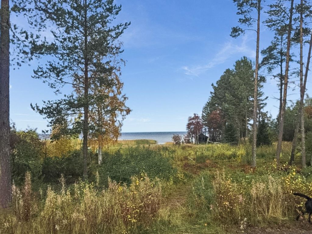 Merivanamo | Boeken bij Flickmyhouse